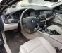 BMW 5 Series  523i   2010 - Bán xe BMW 5 Series 523i đời 2010, màu đen, xe nhập