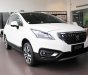 Peugeot 3008 2017 - Bán xe Peugeot 3008 tại Biên Hòa, Đồng Nai - xe mới 100%, hỗ trợ trả góp - Hotline 0938.097.263