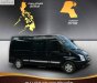 Ford Transit Dcar Limousine 2017 - Bán xe Ford Transit Dcar Limousine năm 2017, màu đen