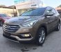 Hyundai Santa Fe 2017 - Bán Hyundai Santa Fe đời 2017, màu nâu