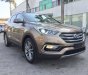 Hyundai Santa Fe 2017 - Bán Hyundai Santa Fe đời 2017, màu nâu