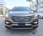 Hyundai Santa Fe 2017 - Bán Hyundai Santa Fe đời 2017, màu nâu