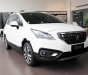 Peugeot 3008 1.6 AT 2017 - Cần bán xe Peugeot 3008 1.6 AT đời 2017, màu trắng