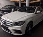 Mercedes-Benz E class E300 AMG 2017 - Bán ô tô Mercedes E300 AMG đời 2017, màu trắng, nhập khẩu nguyên chiếc