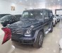 Mercedes-Benz G class G350 AT 2016 - Cần bán xe Mercedes G350 AT đời 2016, màu đen, xe nhập