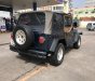 Jeep Wrangler 1995 - Cần bán lại xe Jeep Wrangler sản xuất 1995, màu xanh lam, xe nhập