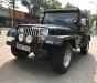Jeep Wrangler 1995 - Cần bán lại xe Jeep Wrangler sản xuất 1995, màu xanh lam, xe nhập