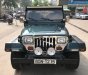 Jeep Wrangler 1995 - Cần bán lại xe Jeep Wrangler sản xuất 1995, màu xanh lam, xe nhập