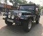 Jeep Wrangler 1995 - Cần bán lại xe Jeep Wrangler sản xuất 1995, màu xanh lam, xe nhập