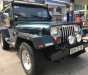 Jeep Wrangler 1995 - Cần bán lại xe Jeep Wrangler sản xuất 1995, màu xanh lam, xe nhập