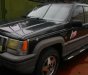 Jeep Grand Cheroke 1994 - Bán Jeep Grand Cheroke đời 1994, màu xanh dưa