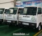 Suzuki Blind Van 2017 - Bán Suzuki Blind Van đời 2017, màu trắng, nhập khẩu nguyên chiếc, 293 triệu