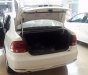 Volkswagen Polo   2015 - Bán Volkswagen Polo năm 2015, màu trắng, nhập khẩu  