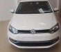 Volkswagen Polo   2015 - Bán Volkswagen Polo năm 2015, màu trắng, nhập khẩu  