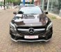 Mercedes-Benz GLA45 2015 - Bán xe Mercedes GLA45 đời 2015, màu nâu, nhập khẩu nguyên chiếc