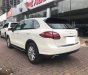 Porsche Cayenne   2011 - Bán xe Porsche Cayenne đời 2011, màu trắng, nhập khẩu