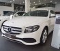 Mercedes-Benz E class E250 2017 - Bán ô tô Mercedes E250 2017, màu trắng, nhập khẩu