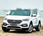 Hyundai Santa Fe 2017 - Cần bán xe Hyundai Santa Fe đời 2017, màu trắng