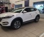 Hyundai Santa Fe 2017 - Cần bán xe Hyundai Santa Fe đời 2017, màu trắng