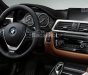 BMW 3 Series 320i 2017 - Bán xe BMW 3 Series (320i + 320i LCI + 330i + 320i GT) nhập khẩu, có xe giao ngay, giá rẻ nhất, nhiều màu