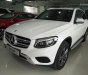 Mercedes-Benz Smart Glc 250  2016 - Bán xe Mercedes GLC 250 đời 2017 đủ màu, xe giao ngay nhiều quà tặng