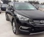 Hyundai Santa Fe 2.2L 4WD 2017 - Cần bán Hyundai Santa Fe 2.2L 4WD đời 2017, màu đen