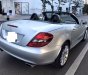 Mercedes-Benz SLK class 200 2010 - Mercedes Benz SLK200 2010 màu bạc, nhập khẩu Đức, biển Hà Nội