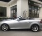 Mercedes-Benz SLK class 2010 - Bán xe Mer SLK 200 mui xếp, sx 2010, màu bạc