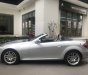 Mercedes-Benz SLK class 200 2010 - Mercedes Benz SLK200 2010 màu bạc, nhập khẩu Đức, biển Hà Nội