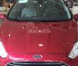 Ford Fiesta 1.5L AT Sport 2017 - Bán Ford Fiesta 1.5L AT Sport - Đủ màu giao ngay - LH ngay 0904529239 để có giá khuyến mãi tốt nhất