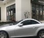 Mercedes-Benz SLK class   1.8 AT  2010 - Bán ô tô Mercedes 1.8 AT đời 2010, nhập khẩu nguyên chiếc như mới, giá 799tr