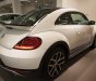 Volkswagen Beetle 2017 - Beetle cuốn hút mọi ánh nhìn, Queen Car