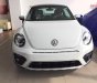 Volkswagen Beetle 2017 - Beetle cuốn hút mọi ánh nhìn, Queen Car