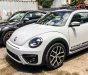 Volkswagen Beetle 2017 - Beetle cuốn hút mọi ánh nhìn, Queen Car