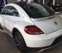 Volkswagen Beetle 2017 - Beetle cuốn hút mọi ánh nhìn, Queen Car