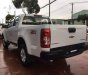 Chevrolet Colorado 2017 - Bán Chevrolet Colorado đời 2017, màu trắng
