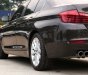 BMW 1 2017 - Cần bán BMW 1 đời 2017, màu nâu, nhập khẩu