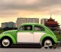 Volkswagen Beetle 1962 - Bán xe Volkswagen Beetle đời 1962, nhập khẩu