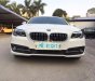 BMW 5 Series 520i 2014 - Bán BMW 5 Series 520i đời 2014, màu trắng, xe nhập  