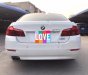 BMW 5 Series 520i 2014 - Bán BMW 5 Series 520i đời 2014, màu trắng, xe nhập  