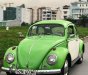 Volkswagen Beetle 1962 - Bán xe Volkswagen Beetle đời 1962, nhập khẩu