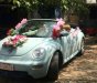 Volkswagen Beetle 2007 - Cần bán xe Volkswagen Beetle đời 2007, nhập khẩu  