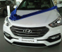 Hyundai Santa Fe 2017 - Bán Hyundai Santa Fe 2.4 AT xăng - khuyến mãi T10 lên đến 230tr. Hotline đặt xe: 0948.94.55.99 - 0935.90.41.41