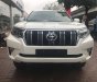 Toyota Prado VX 2018 - Bán Toyota Prado VX 2018, màu trắng mới 100%