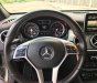 Mercedes-Benz GLA-Class 45 AMG 2014 - Bán ô tô Mercedes GLA 45 AMG đời 2014, màu bạc, nhập khẩu, chính chủ