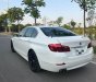 BMW 5 Series 520i 2013 - Chính chủ bán xe BMW 5 Series 520i đời 2013, màu trắng, nhập khẩu