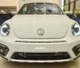 Volkswagen Beetle 2017 - Bán xe Volkswagen Beetle huyền thoại năm 2017, màu trắng, nhập khẩu 0916721166