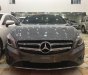 Mercedes-Benz A class 2014 - Cần bán lại xe Mercedes đời 2014, nhập khẩu