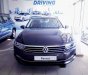 Volkswagen Passat Bluemotion 2018 - Bán Volkswagen Passat Bluemotion đời 2018, nhập khẩu