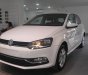 Volkswagen Polo 2017 - Bán ô tô Volkswagen Polo sản xuất 2017, màu trắng, nhập khẩu nguyên chiếc giá cạnh tranh